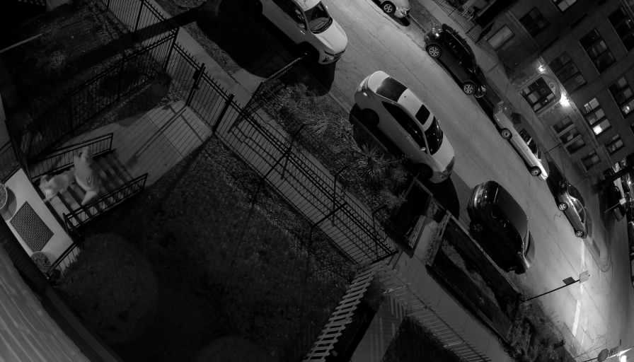 Reolink Camera Two_01_Reolink Home Hub One_20260322011634.jpg